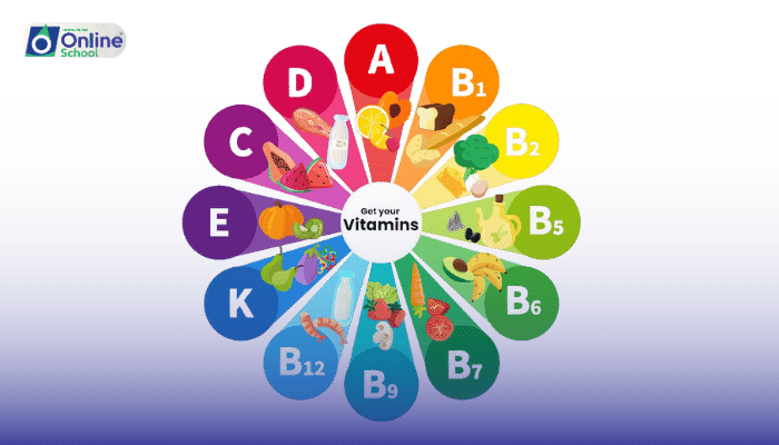 Lesson 05: Essential Vitamins: A, C, and D – Sources and Functions